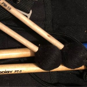 Drumsticks and carrying case